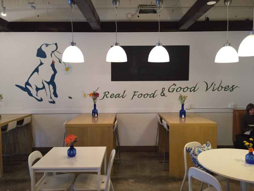 Karma Daisy - Wall Mural (painted by local artist Katherine McClure who does pet portraits)