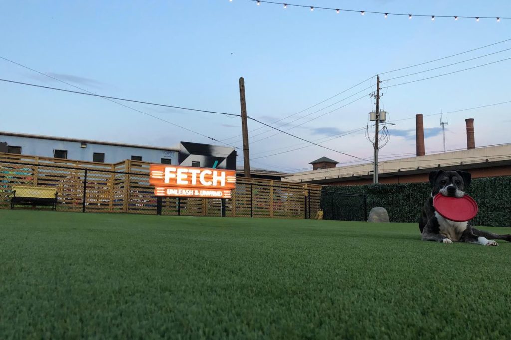Fetch Atlanta 1